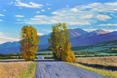 September-Aspens-Near-Westcliffe