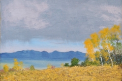 Aspens-with-a-Distant-Storm-9x12